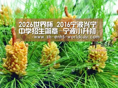 2026世界杯_2016宁波兴宁中学招生简章-宁波小升初(图2) 2026世界杯官网