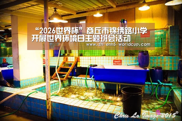 “2026世界杯”商丘市锦绣路小学开展世界环境日主题班会活动