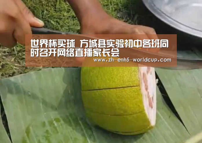 世界杯买球_方城县实验初中各班同时召开网络直播家长会(图2) 2026世界杯