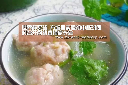 世界杯买球_方城县实验初中各班同时召开网络直播家长会(图3) 2026世界杯官网